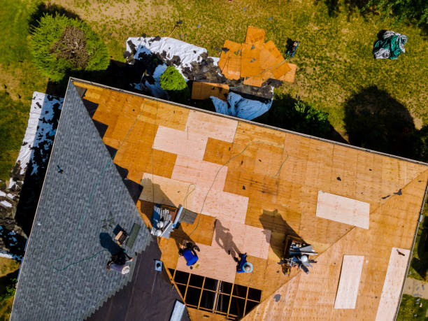 Best Roof Maintenance Services  in Pittsburg, KS