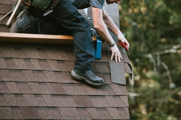 Best Roof Gutter Cleaning  in Pittsburg, KS